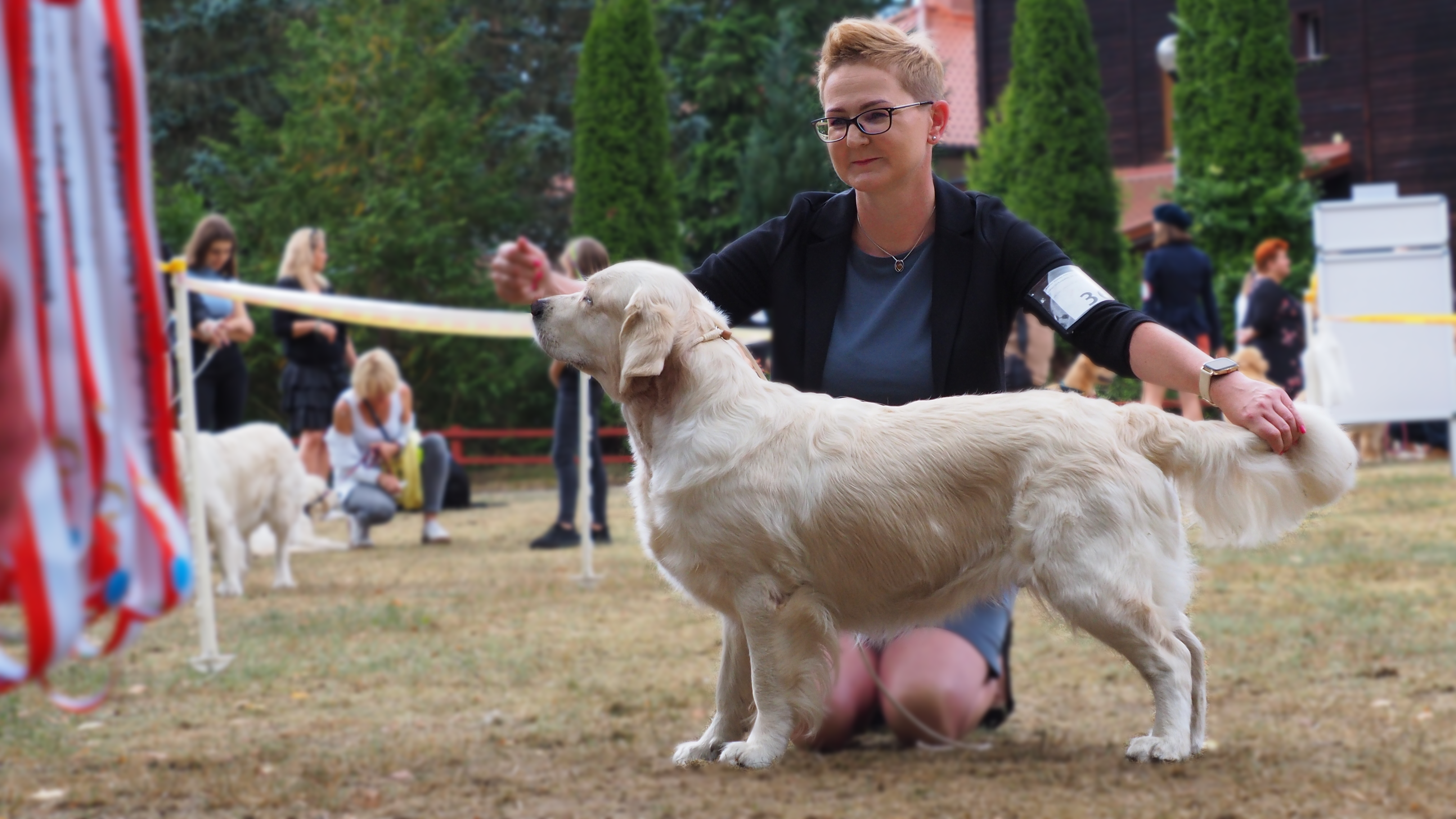 57th National Dog Show – Manowo (B / Koszalin), 08-08-2021