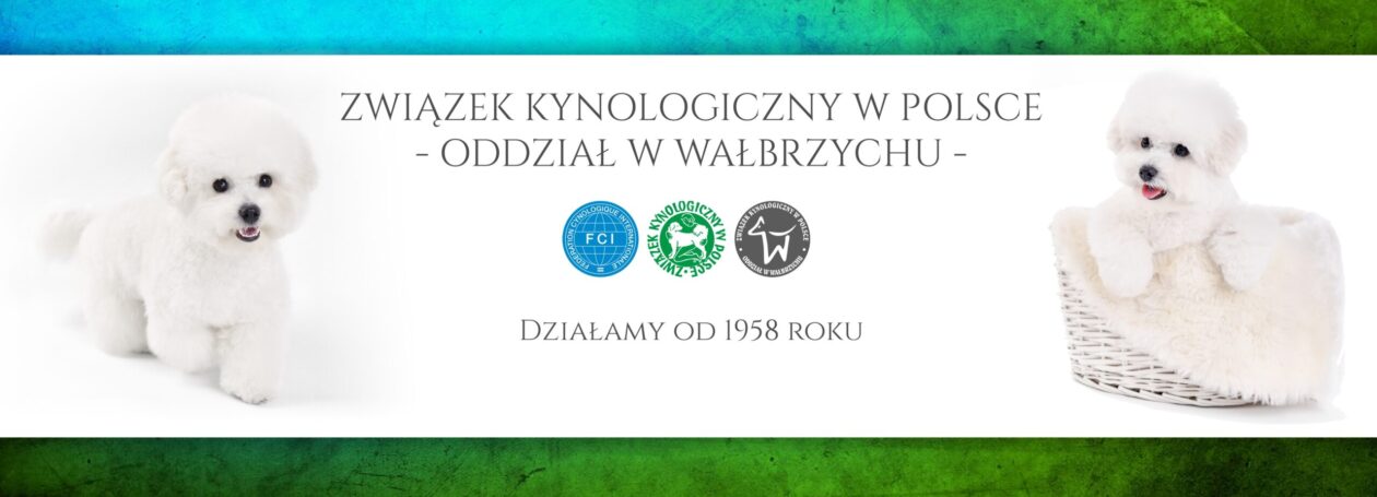 Związek Kynologiczny w Polsce Oddział w Wałbrzychu