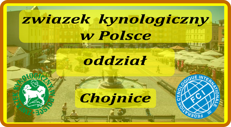 ZKwP Oddział Chojnice