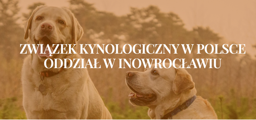ZKwP Oddział Inowrocław