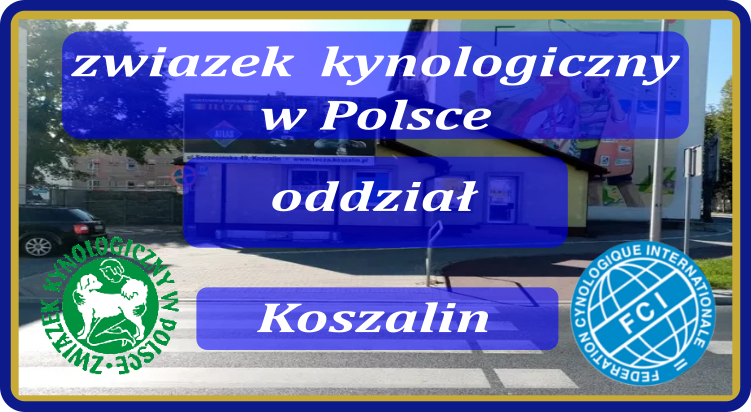 ZKwP Oddział Koszalin