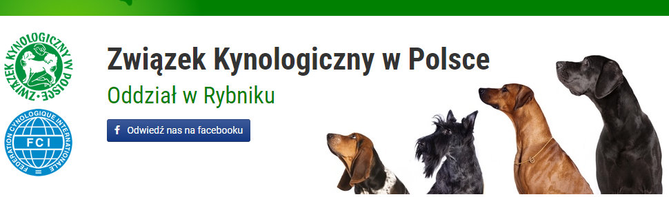 ZKwP Oddział Rybnik