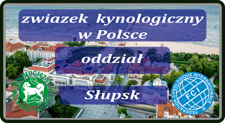 ZKwP Oddział Sopot