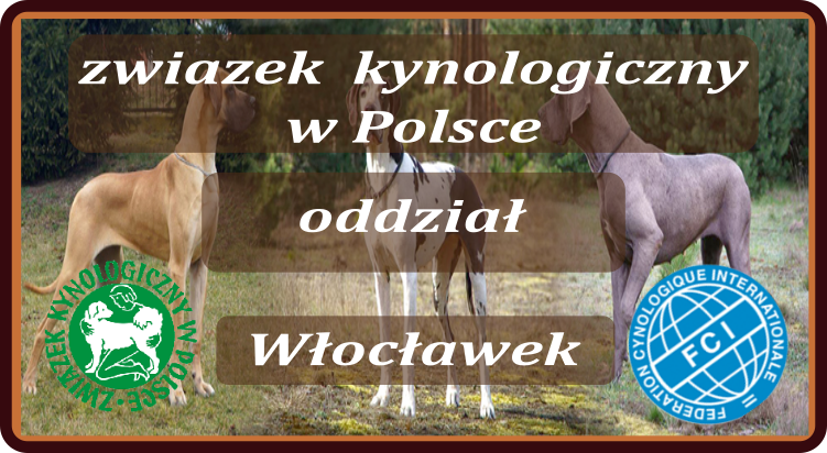 ZKwP Oddział Włocławek