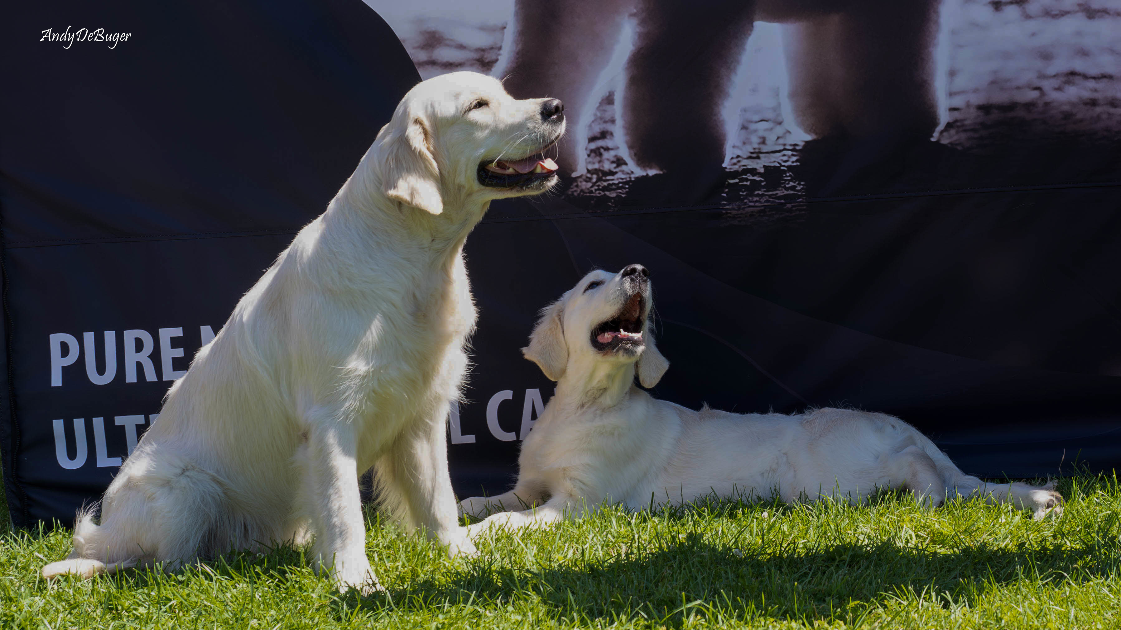 MWPR Gorzów Wlkp.-8