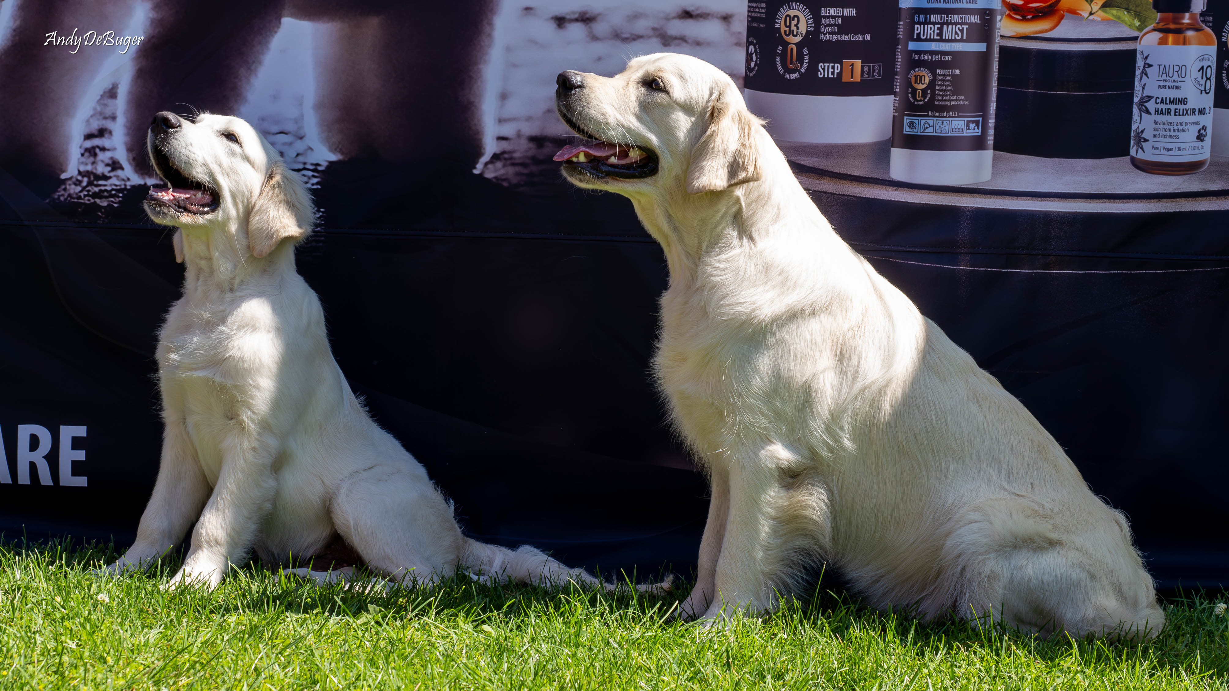 MWPR Gorzów Wlkp.-9