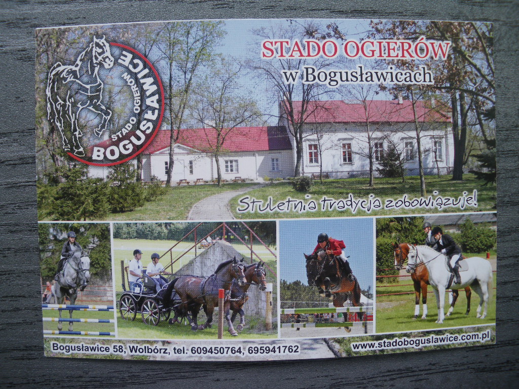 Stado Ogierów w Bogusławicach