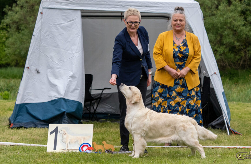 XVIII Krajowa Wystawa Psów Rasy Golden Retriever – Świerklaniec – 10.05.2025