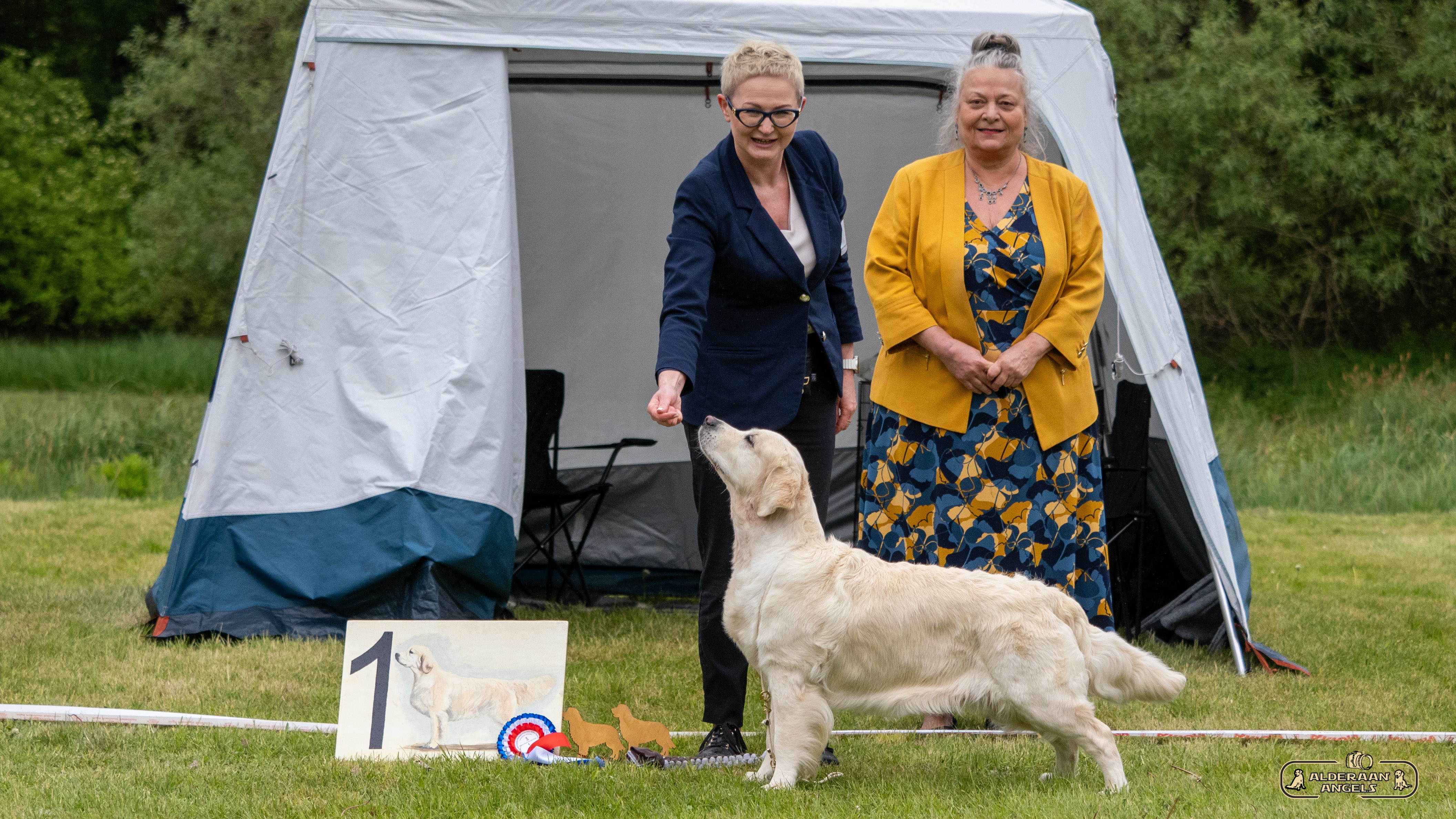 XVIII Krajowa Wystawa Psów Rasy Golden Retriever – Świerklaniec – 10.05.2025
