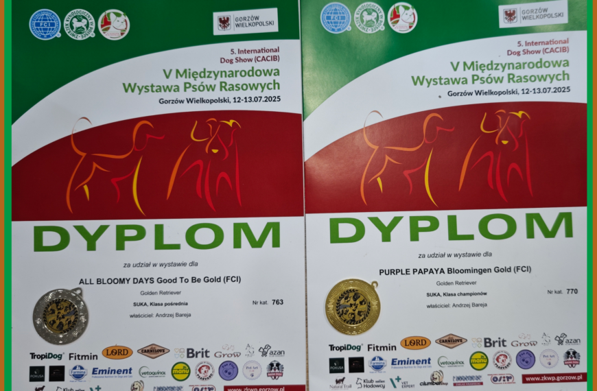V Międzynarodowa Wystawa Psów Rasowych – GORZÓW WLKP., 12÷13-07-2025