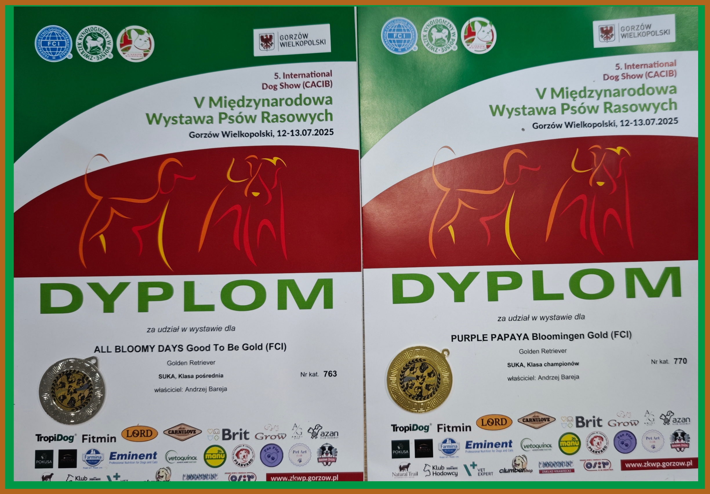 V Międzynarodowa Wystawa Psów Rasowych – GORZÓW WLKP., 12÷13-07-2025