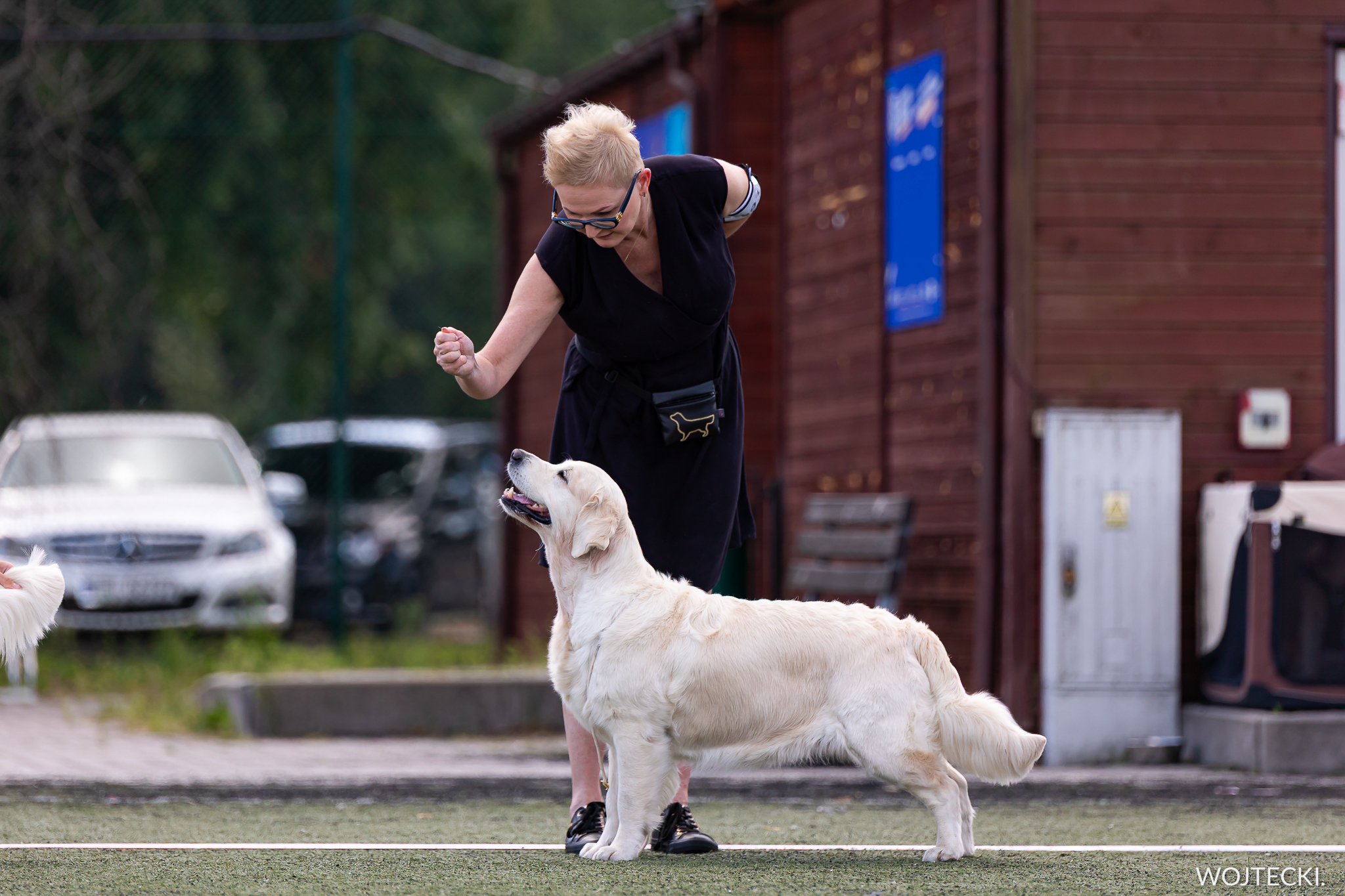 I Międzynarodowa Wystawa Psów Rasowych – PIOTRKÓW TRYB., 16÷17-08-2025