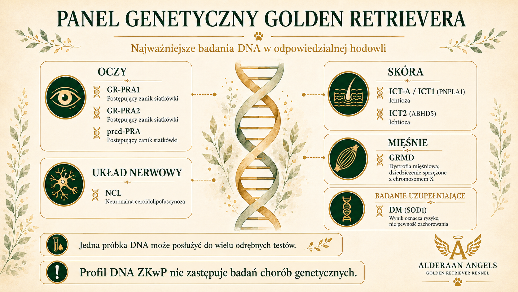 Panel genetyczny golden retrievera