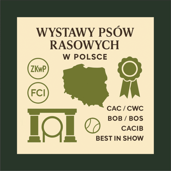 CO I JAK NA WYSTAWACH - PODSTAWY