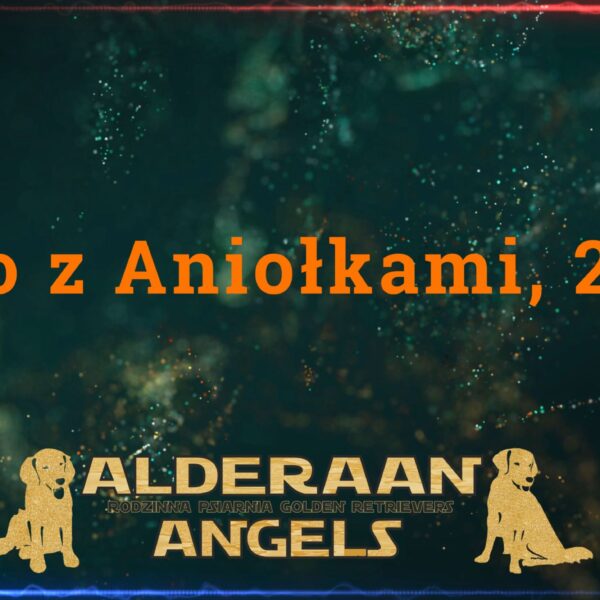 Lato z Aniołkami, 2023