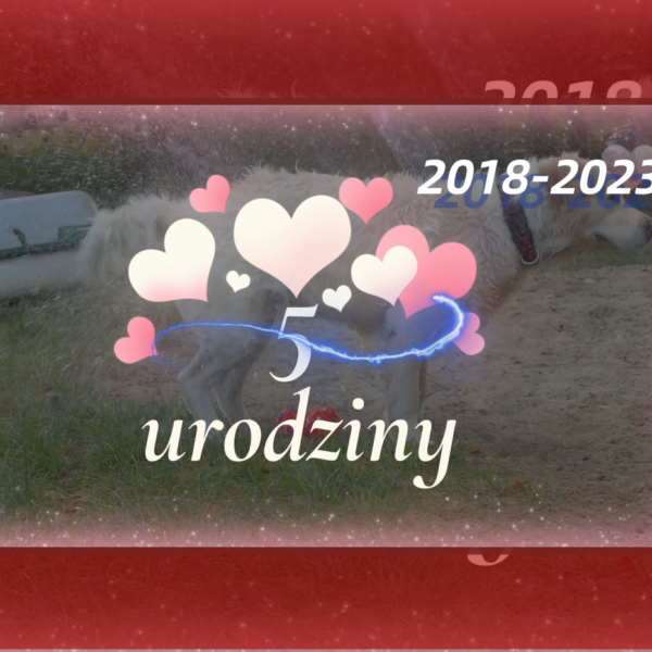 5 urodziny naszej Iskierki.