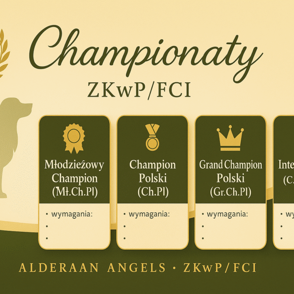 Zasady przyznawania championatów
