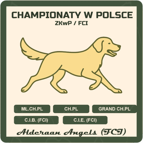 Zasady przyznawania championatów