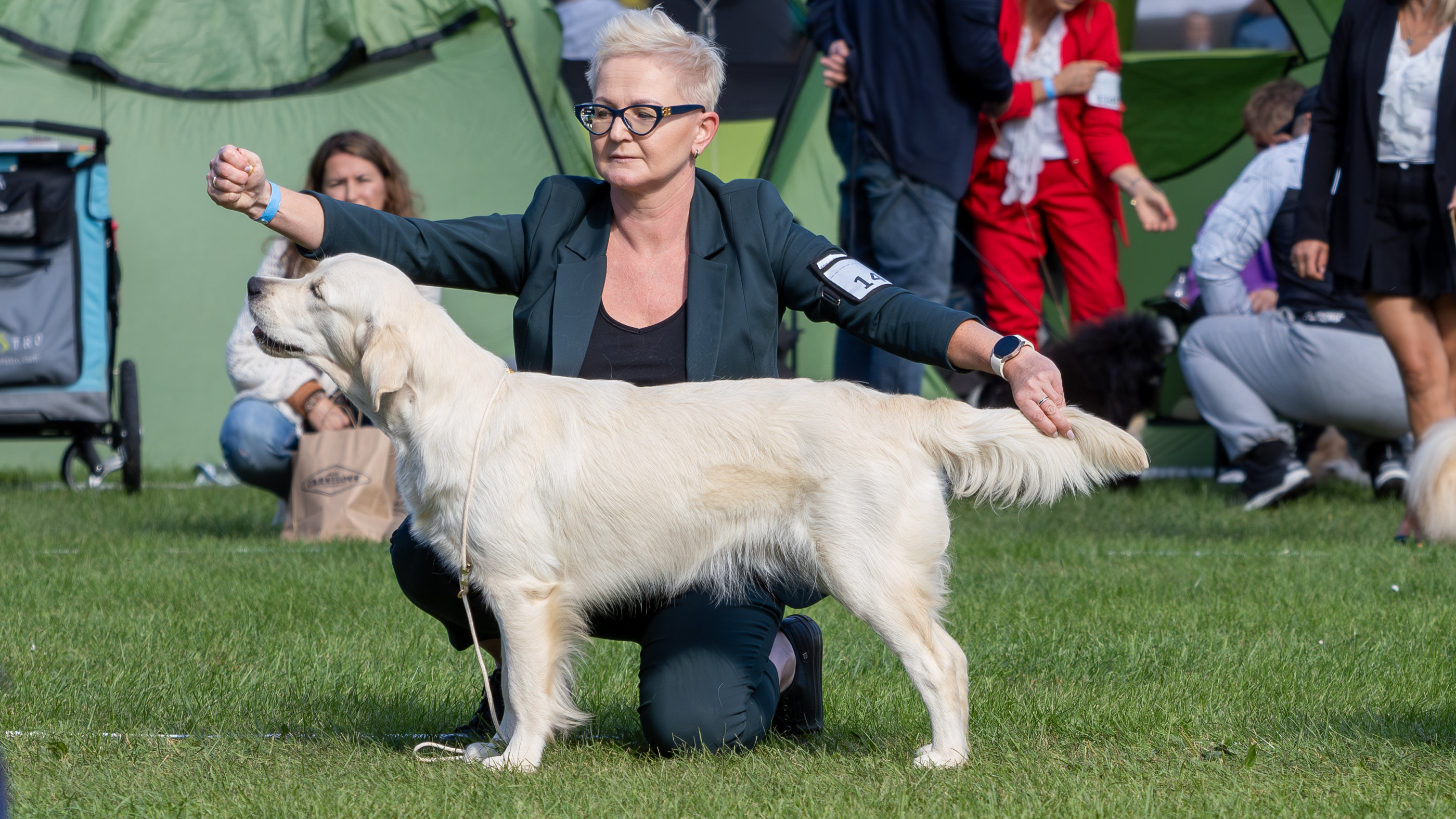 XXXII Międzynarodowa Wystawa Psów Rasowych – WROCŁAW, 28÷29-09-2024