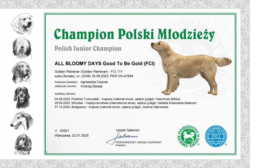 Bloom – Champion Polski Młodzieży