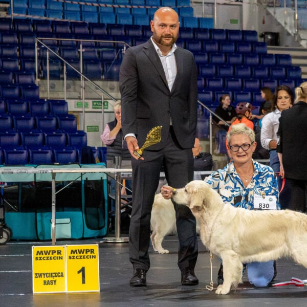 XXIX Międzynarodowa Wystawa Psów Rasowych SZCZECIN, 28÷29-06-2025