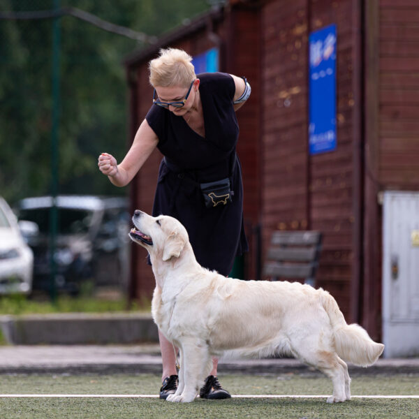 I Międzynarodowa Wystawa Psów Rasowych - PIOTRKÓW TRYB., 16÷17-08-2025