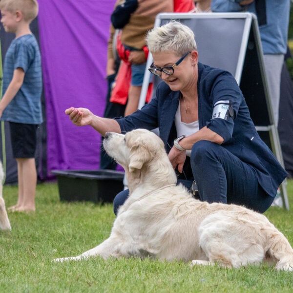 SOPOT XXXVIII i XXXIX Międzynarodowa Wystawa Psów Rasowych, 2-3 sierpnia 2025r.